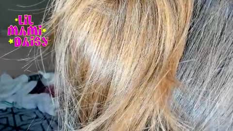 Daisy Bby online show from March 2026 03:01:01 AM