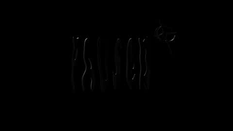 Snapshot of lilpresident chatting on December 2024 04:11:02 PM lilpresident online show from December 2024 04:11:02 PM