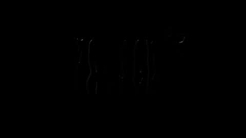 Snapshot of lilpresident chatting on January 2025 07:51:02 PM lilpresident online show from January 2025 07:51:02 PM