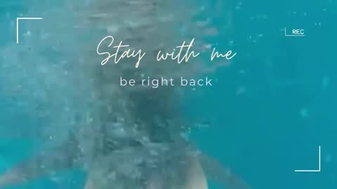 Snapshot of lily_foster_ chatting on November 2025 06:27:01 AM Lily online show from November 2025 06:27:01 AM