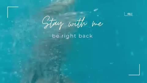 Snapshot of lily_foster_ chatting on November 2025 06:45:01 AM Lily online show from November 2025 06:45:01 AM