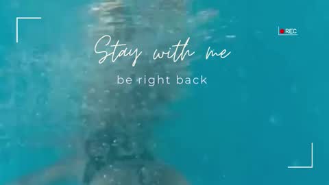 Snapshot of lily_foster_ chatting on November 2025 12:27:02 PM Lily online show from November 2025 12:27:02 PM