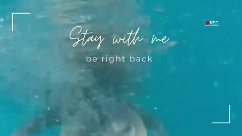 Lily online show from February 2026 06:08:02 AM