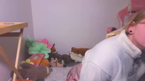 lime cat online show from October 2025 01:19:01 AM