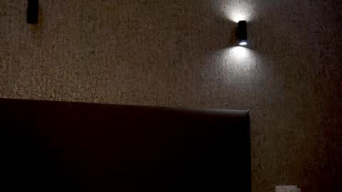 Snapshot of linda_clarsss chatting on November 2025 02:19:01 PM Linda online show from November 2025 02:19:01 PM