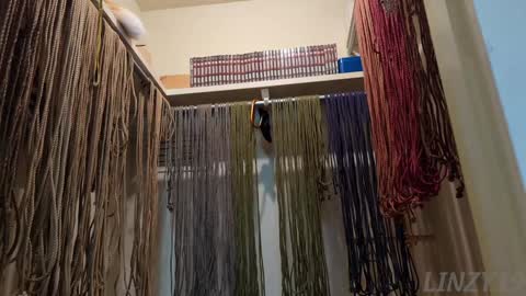 Snapshot of linzy19 chatting on February 2025 03:01:01 AM Linzy19 online show from February 2025 03:01:01 AM