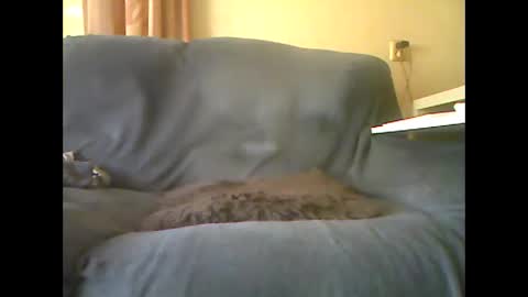 Snapshot of lion160868 chatting on October 2025 10:32:02 AM lion160868 online show from October 2025 10:32:02 AM