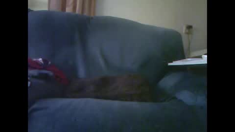 lion160868 online show from November 2025 09:23:01 AM