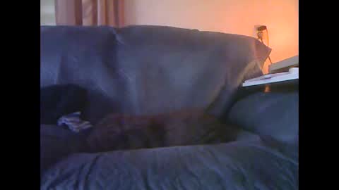 lion160868 online show from January 2026 09:13:01 AM