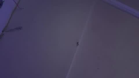 cristin online show from December 2024 11:00:02 AM