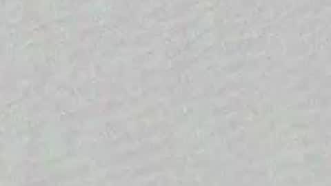 Adaline online show from April 2026 07:50:02 AM