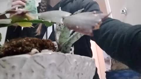 Snapshot of littleleo96 chatting on October 2025 11:08:02 AM littleleo96 online show from October 2025 11:08:02 AM