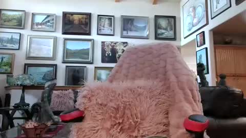 Miss D   Shows Mon Wed  Fri online show from April 2026 07:19:02 PM