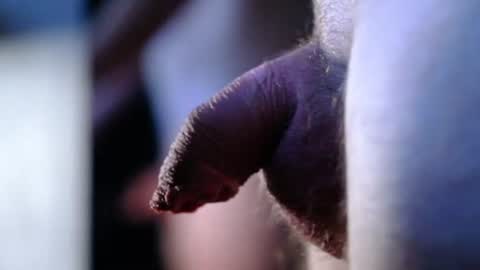 Snapshot of littlescrapper69 chatting on October 2025 03:04:02 AM littlescrapper69 online show from October 2025 03:04:02 AM