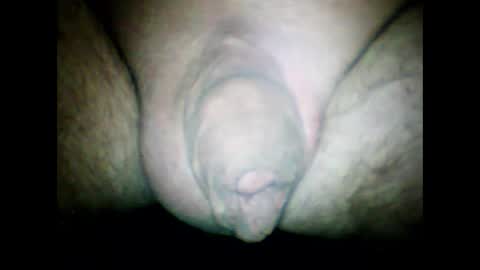 Snapshot of littlestick chatting on January 2025 10:27:01 AM littlestick online show from January 2025 10:27:01 AM