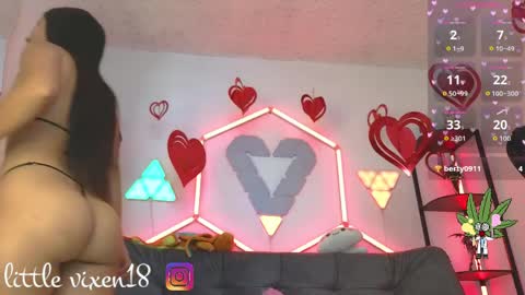 littlevixen18 online show from April 2026 02:40:01 PM