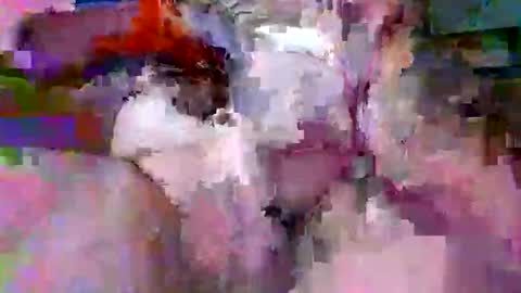 litwinpaweel online show from April 2026 07:42:01 PM