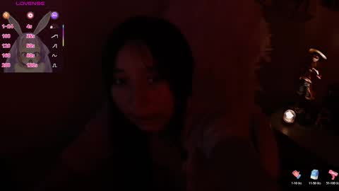 Snapshot of lizzy_kawuaii chatting on November 2025 11:51:01 PM lizzy online show from November 2025 11:51:01 PM