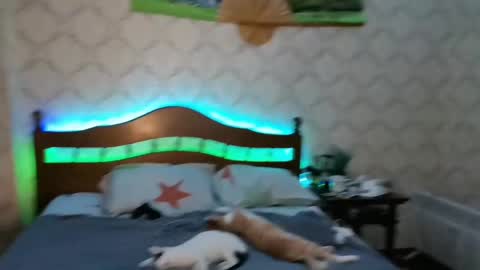 Snapshot of llevella chatting on January 2025 09:12:01 PM Sevy online show from January 2025 09:12:01 PM