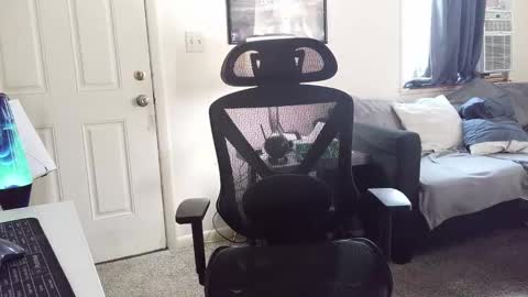 LongDick Daddy online show from January 2026 06:22:02 PM