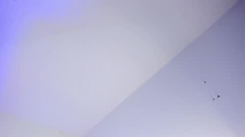 Logan online show from October 2025 08:04:02 AM