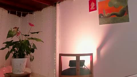 mara online show from January 2025 02:04:02 AM