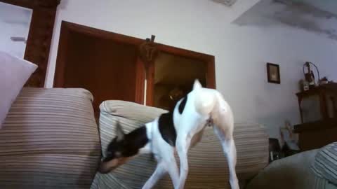 LOLA HUESO y ERIC online show from January 2026 09:58:02 AM