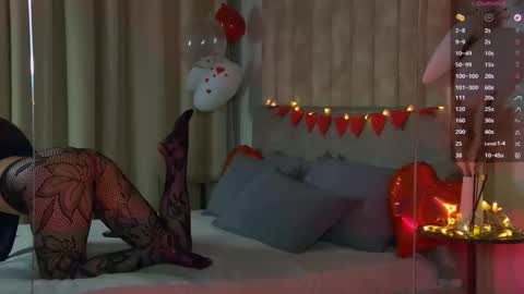 Lolla online show from February 2026 05:17:02 PM