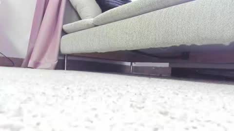 Lolla online show from November 2025 05:50:02 AM