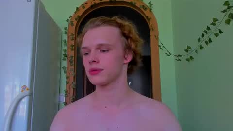 Nelis online show from July 2026 02:44:01 PM