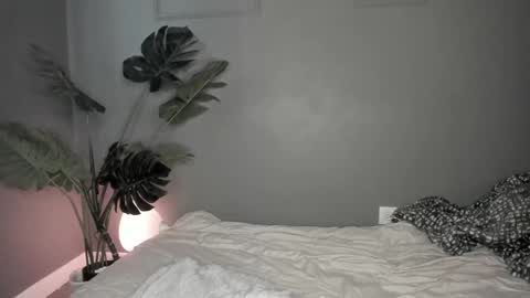 Snapshot of lonelly_lolly98 chatting on February 2025 09:37:02 PM SABRINA online show from February 2025 09:37:02 PM