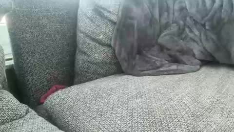 Snapshot of longjohnson94435702 chatting on March 2025 07:54:02 AM longjohnson94435702 online show from March 2025 07:54:02 AM