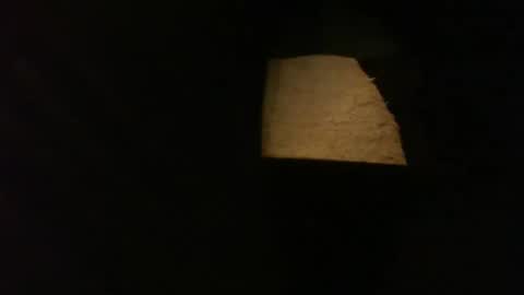 longlorne online show from April 2026 08:04:01 AM
