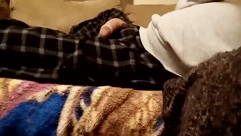 Snapshot of looking4bush chatting on December 2024 07:21:01 AM looking4bush online show from December 2024 07:21:01 AM