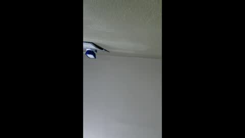 2791 3D online show from January 2026 05:10:02 AM