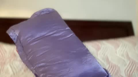 Snapshot of lordbullet69 chatting on January 2025 12:55:02 AM BULLET online show from January 2025 12:55:02 AM