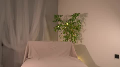 Lorrie online show from November 2025 07:41:02 AM