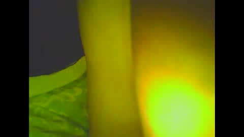 Snapshot of love5pu55y chatting on March 2025 08:30:01 AM PleasureX online show from March 2025 08:30:01 AM