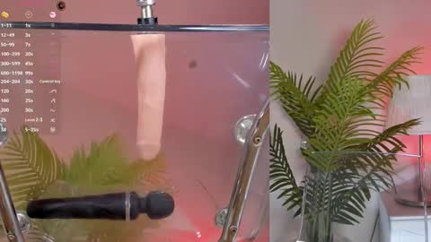 Snapshot of lovebabyblush chatting on March 2025 03:27:01 PM Shynie online show from March 2025 03:27:01 PM