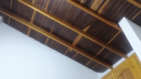 Snapshot of lovely_trix_ chatting on January 2025 11:45:02 AM Trix online show from January 2025 11:45:02 AM