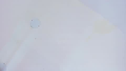 L O V E  online show from February 2026 11:59:01 AM