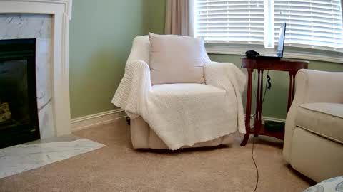 Snapshot of lovethosegirls58 chatting on December 2024 03:45:02 PM lovethosegirls58 online show from December 2024 03:45:02 PM