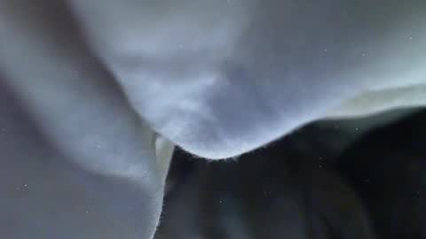 Snapshot of lpd432 chatting on May 2026 09:12:01 PM Milk Me online show from May 2026 09:12:01 PM