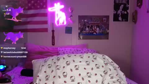 Snapshot of lsdprincess chatting on March 2025 07:41:01 AM Princess online show from March 2025 07:41:01 AM