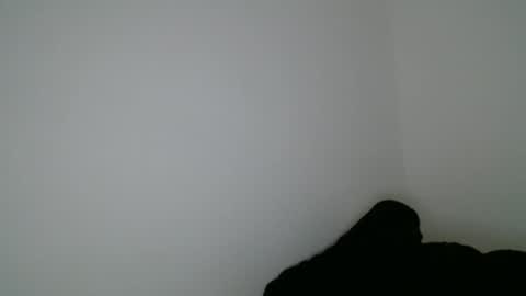 luana online show from January 2026 09:51:01 PM