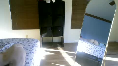 Snapshot of luchamuscles chatting on December 2024 10:01:02 PM luchamuscles online show from December 2024 10:01:02 PM