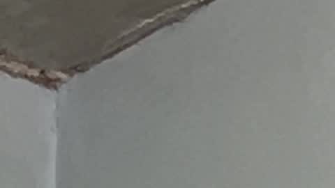 Snapshot of lucifermorningstar94 chatting on September 2025 02:57:01 AM Lucien online show from September 2025 02:57:01 AM