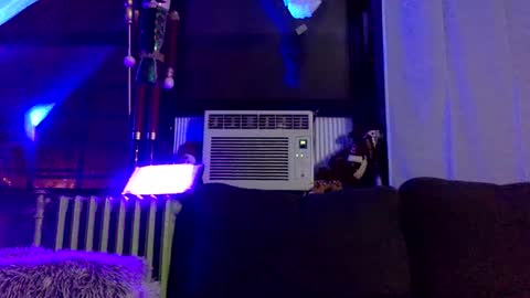 King420 online show from January 2025 05:20:02 AM