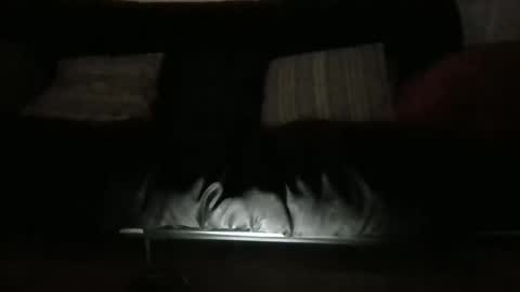 lukusdukus online show from October 2025 10:47:01 AM