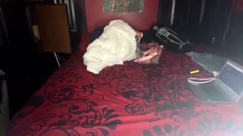 Snapshot of lulu_only_fans chatting on February 2025 04:09:02 PM Lulu online show from February 2025 04:09:02 PM